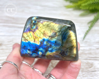 Labradorite Freeform #18