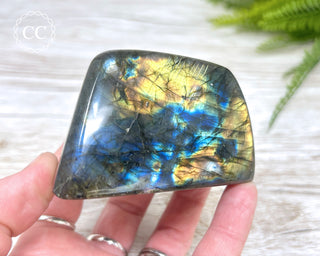 Labradorite Freeform #18