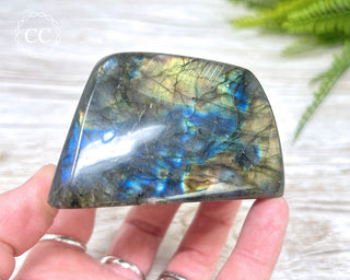 Labradorite Freeform #18