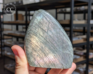 Labradorite Freeform #9