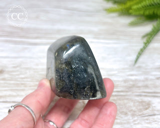 Labradorite Freeform #18