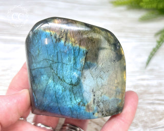 Labradorite Freeform #20