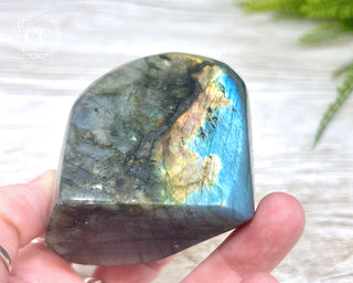 Labradorite Freeform #20
