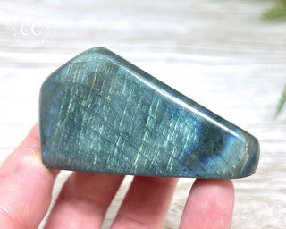 Labradorite Freeform #21
