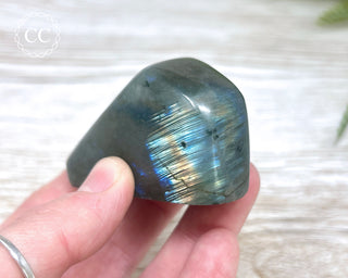 Labradorite Freeform #21