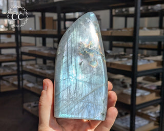 Labradorite Freeform #10