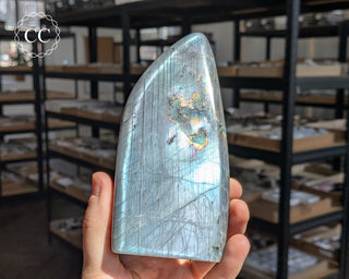 Labradorite Freeform #10