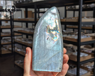 Labradorite Freeform #10