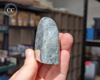 Labradorite Freeform #21