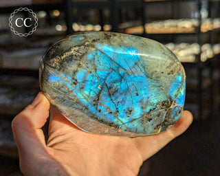 Blue Labradorite Freeform #17