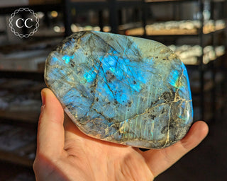 Blue Labradorite Freeform #17