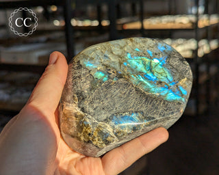 Blue Labradorite Freeform #17