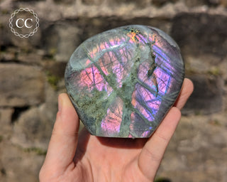 Purple Labradorite Freeform #10