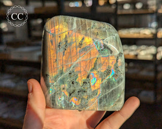 Orange Labradorite Freeform #21