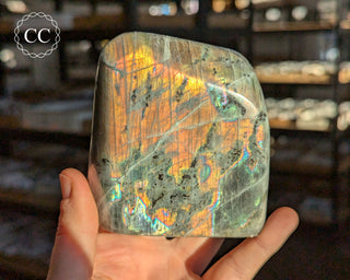 Orange Labradorite Freeform #21