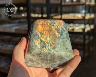 Orange Labradorite Freeform #21