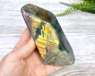 Labradorite Freeform #4