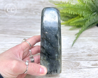 Labradorite Freeform #1