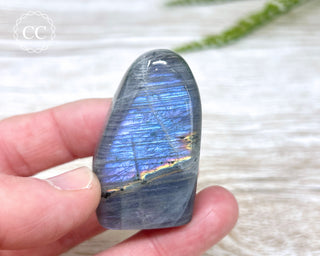 Labradorite Freeform #11