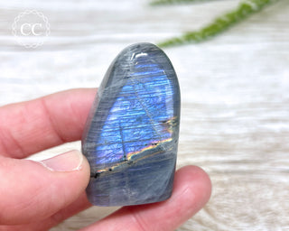 Labradorite Freeform #11