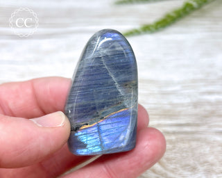 Labradorite Freeform #11