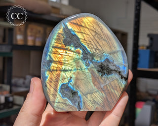 Labradorite Freeform #29
