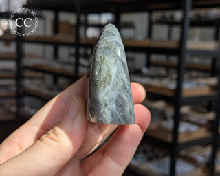 Labradorite Freeform #19