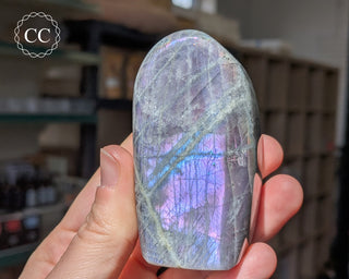 Labradorite Freeform #6
