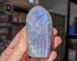 Labradorite Freeform #6