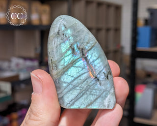 Labradorite Freeform #31