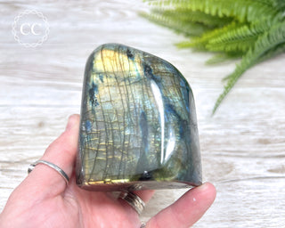 Labradorite Freeform #8