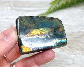 A Grade Mini Labradorite Freeform #10