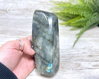 Labradorite Freeform #1