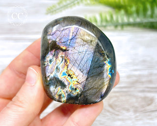 A Grade Mini Labradorite Freeform #1