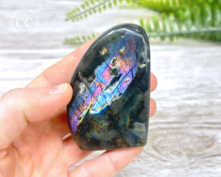 A Grade Mini Labradorite Freeform #3