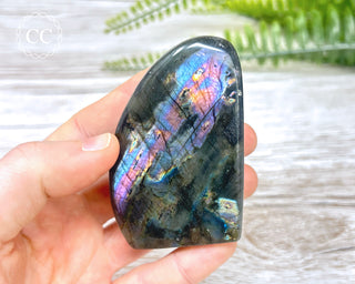 A Grade Mini Labradorite Freeform #3