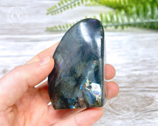 A Grade Mini Labradorite Freeform #3