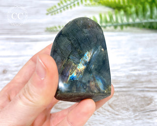 A Grade Mini Labradorite Freeform #3