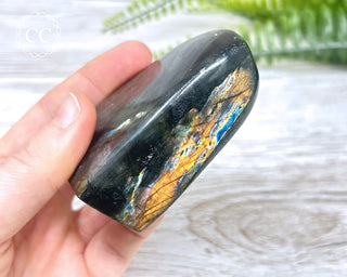 A Grade Mini Labradorite Freeform #3