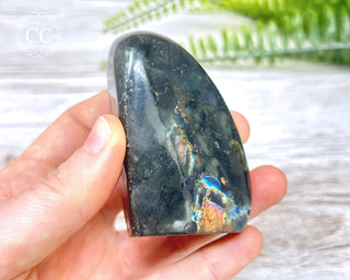 A Grade Mini Labradorite Freeform #3