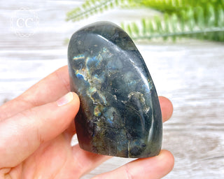 A Grade Mini Labradorite Freeform #3