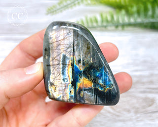 A Grade Mini Labradorite Freeform #5