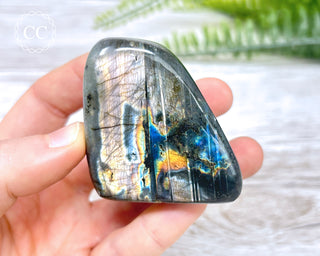 A Grade Mini Labradorite Freeform #5