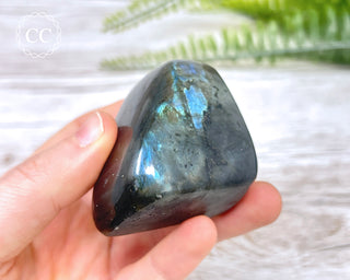 A Grade Mini Labradorite Freeform #5