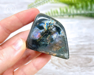 A Grade Mini Labradorite Freeform #6