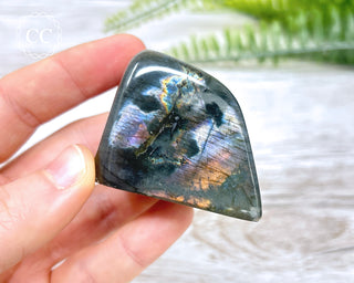 A Grade Mini Labradorite Freeform #6