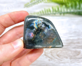 A Grade Mini Labradorite Freeform #6