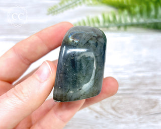 A Grade Mini Labradorite Freeform #6