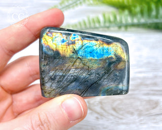 A Grade Mini Labradorite Freeform #10