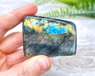 A Grade Mini Labradorite Freeform #10